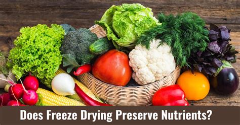 does freeze drying preserve nutrients